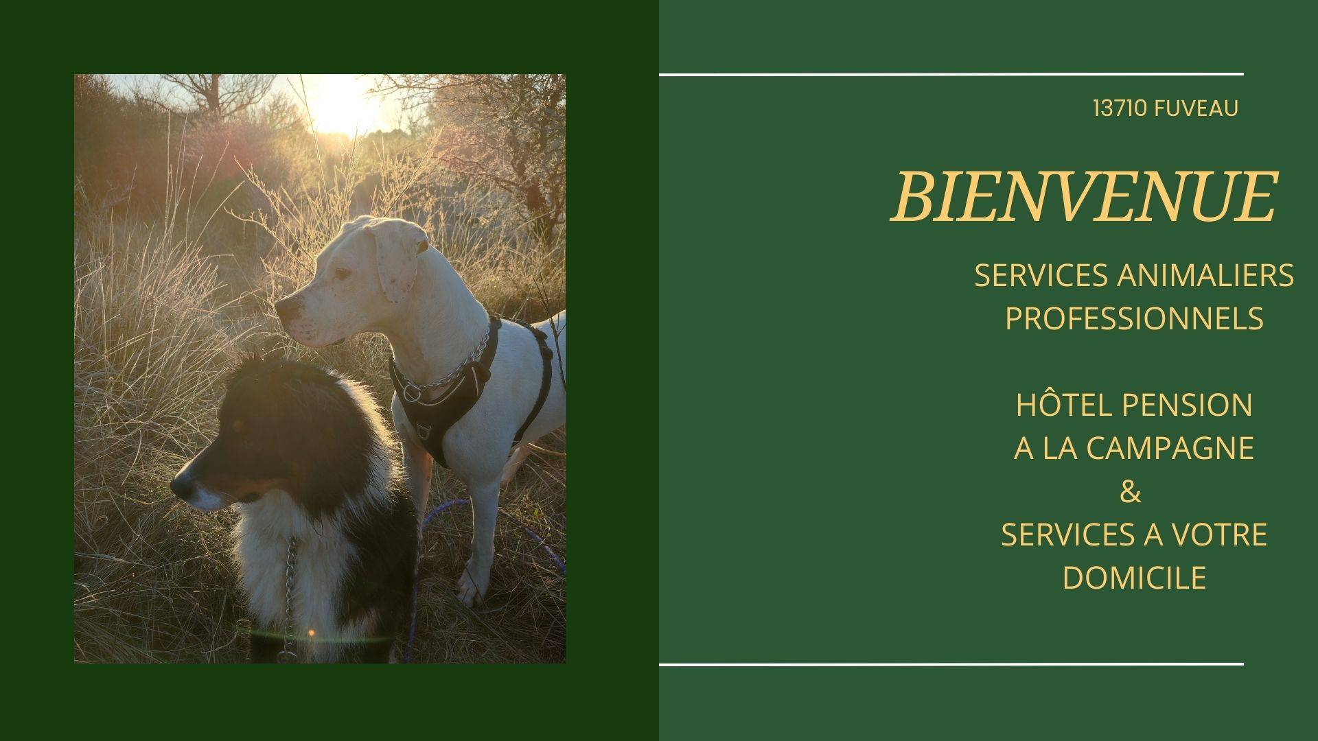 ETHIQUE ANIMALE SERVICES CHENIL HOTEL PENSION POUR ANIMAUX PROVENCE AIX MARSEILLE FUVEAU