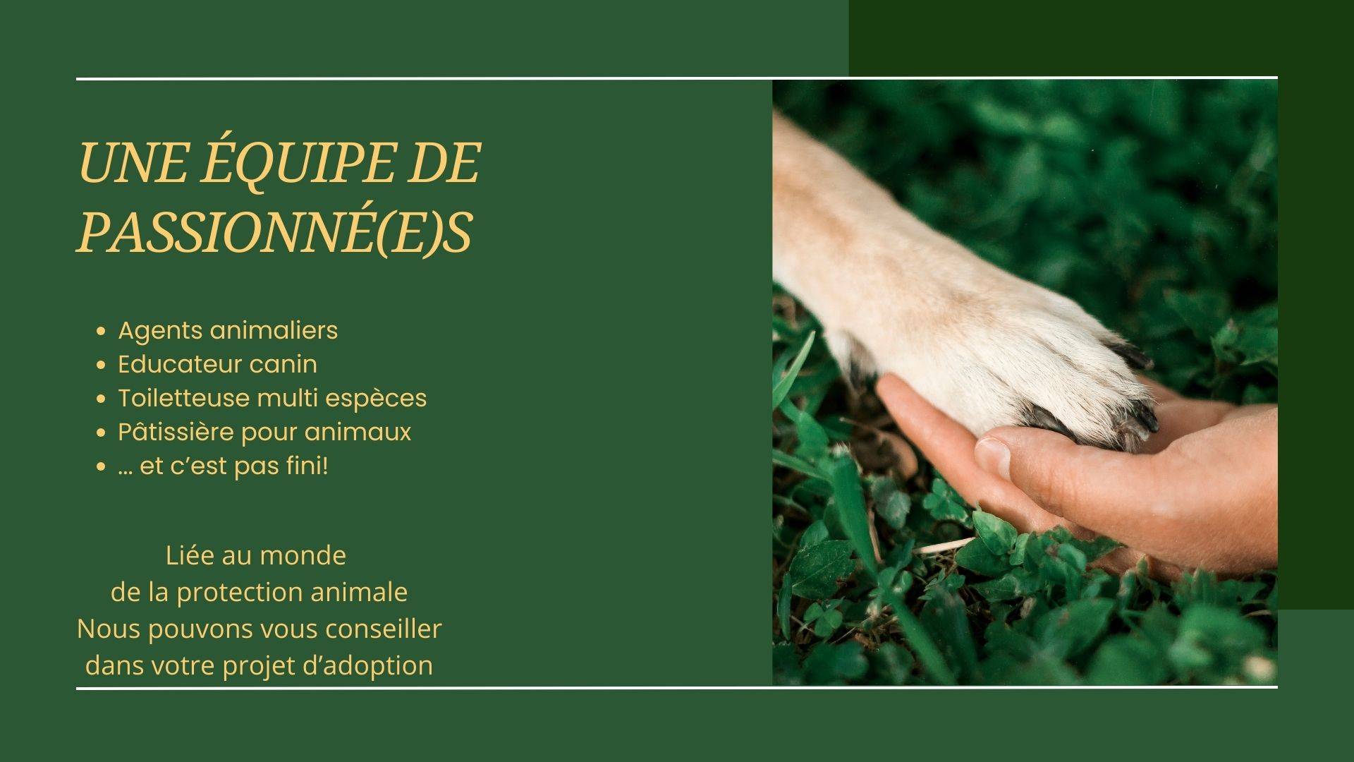 AGENTS ANIMALIERS PET SITTER DOG WALKER PENSIONNEUR PROFESSIONNEL SNPCC PACA FUVEAU PRO
