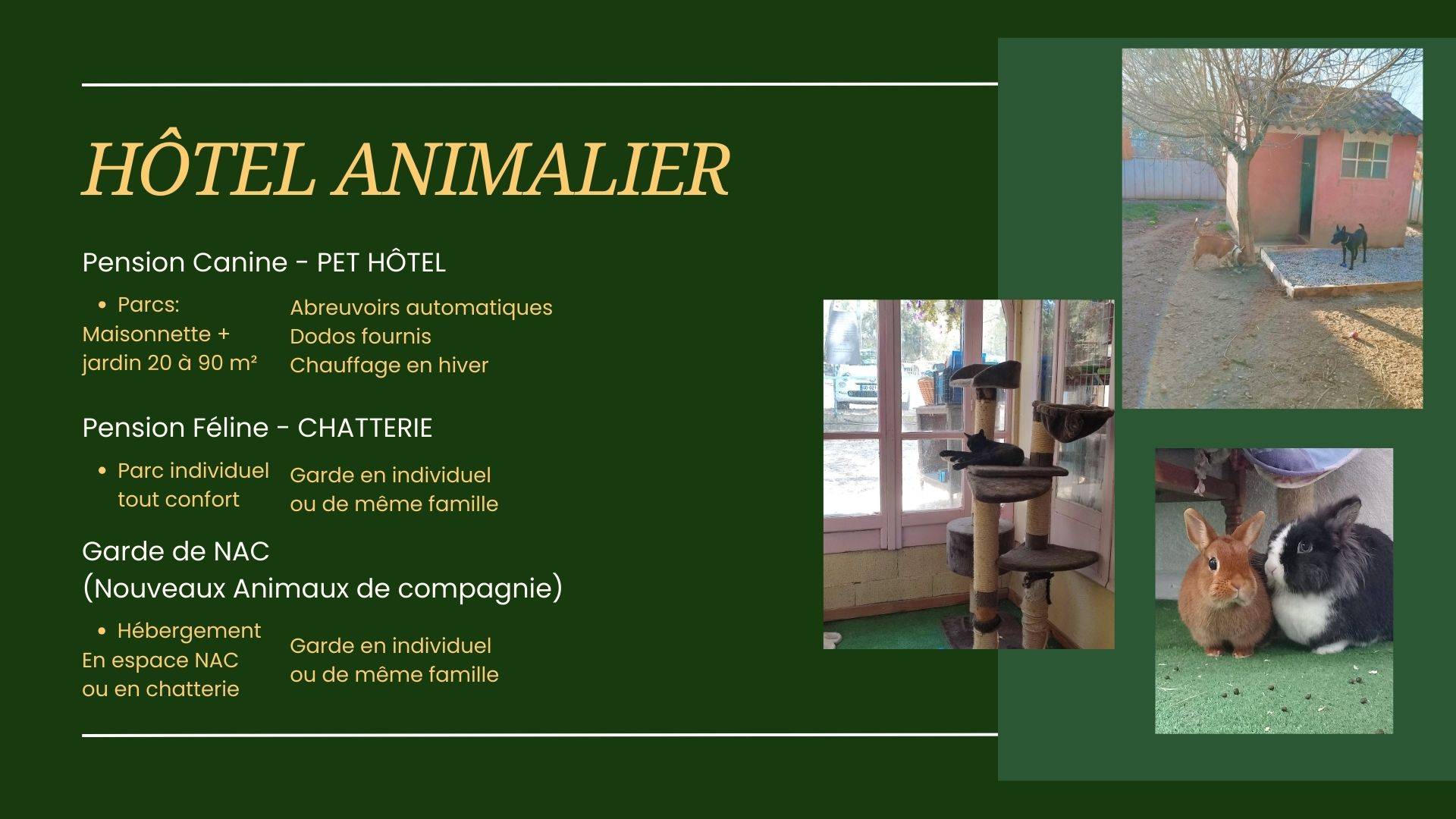 GARDE DE CHIEN ETHIQUE ANIMALE SERVICES GARDE DE CHAT GARDE DE NAC LAPIN COCHON D INDE ANIMAUX DE FERME HOTEL ET DOMICILE 13 83