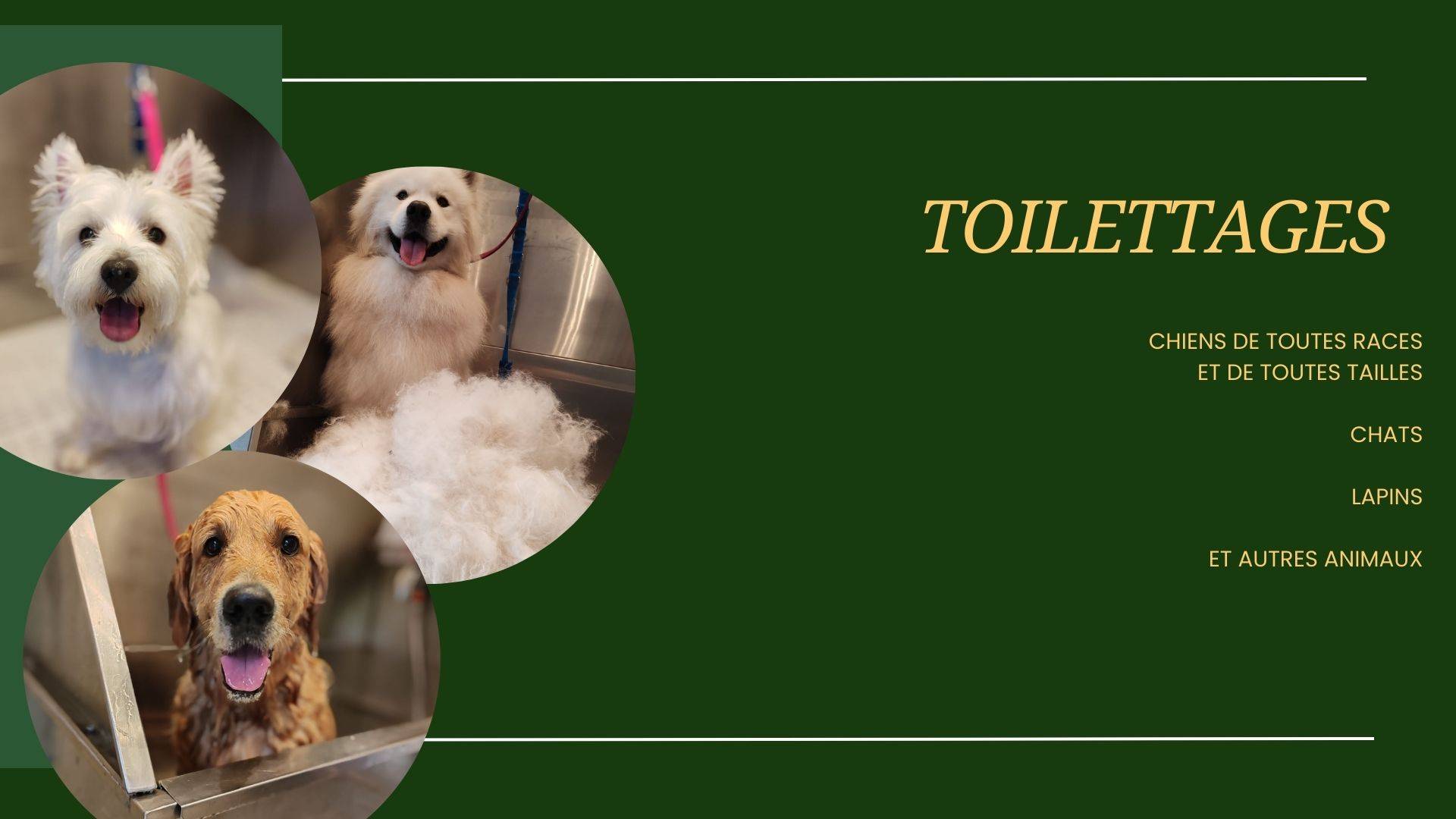 TOILETTAGES ETHIQUE ANIMALE SERVICES FUVEAU CHIENS LAPINS  CHATS NAC 