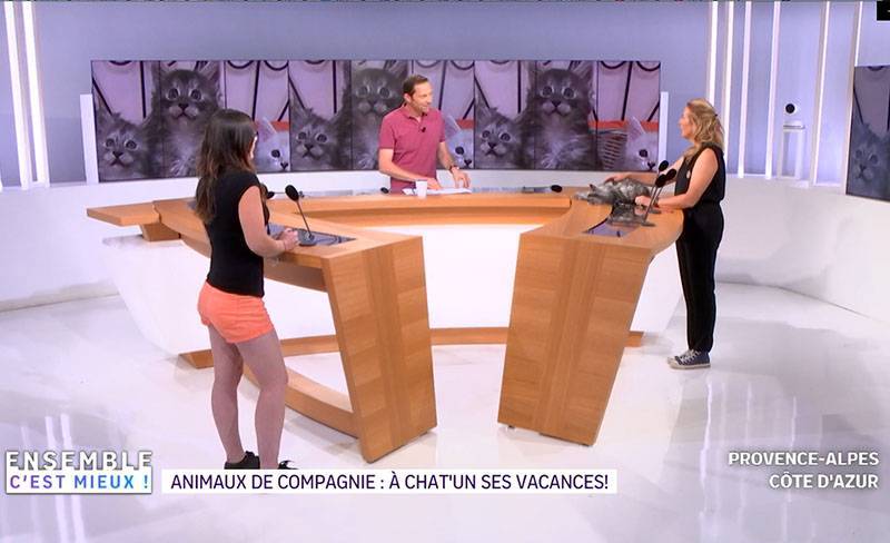 PROFESSIONNELS DE SERVICES ANIMALIERS TV FRANCE 2 