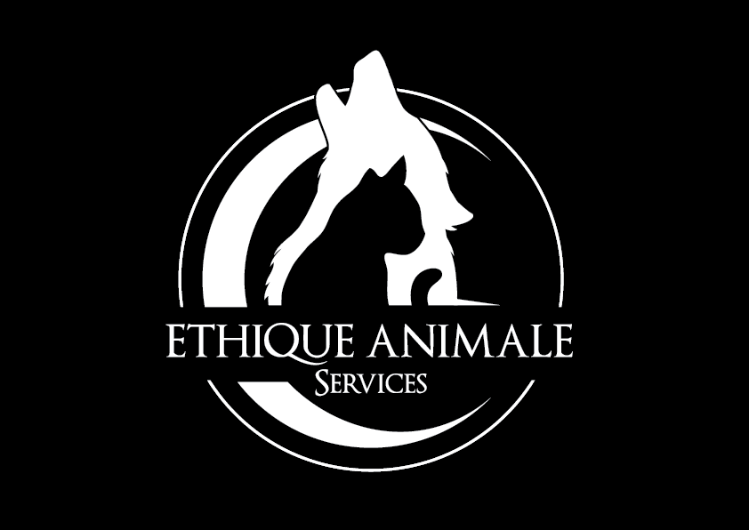 pension et garde de chien chenil de qualité sur fuveau chatterie garde de lapin cochon d'inde rats individuelle garde de chat centre d'éducation canine vers Gardanne toilettage