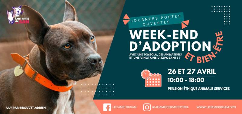 adoption responsable week end bien-être animal et sensibilisation 26 et 27 avril que faire vers aix en provence et marseille nombreux exposants