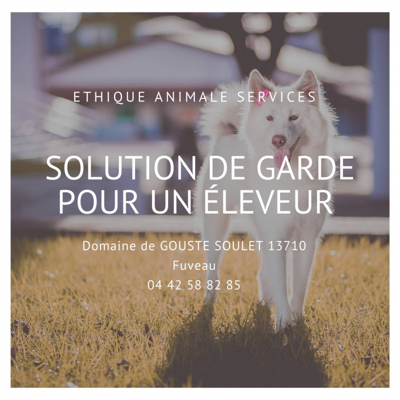 faire garder son cheptel pension pour éleveur solutions de garde pour élevage canin félin faire garder ses animaux quand on est éleveur aix marseille trets fuveau