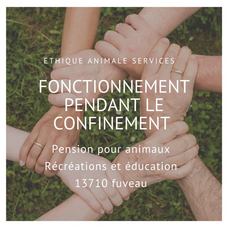 confinement paca coronavirus animaux ethique animale fuveau aix marseille faire garder son chien sortie animaux
