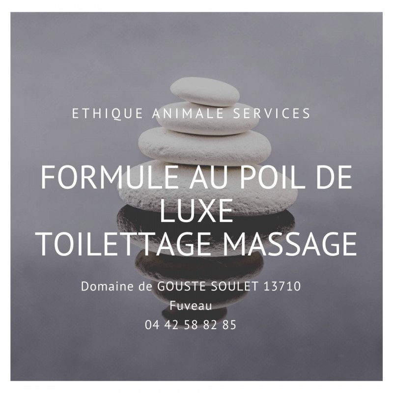 toilettage de luxe fuveau gréasque Meyreuil Rousset massage canin toilettage pas cher de qualité centre de vacances pour chiens