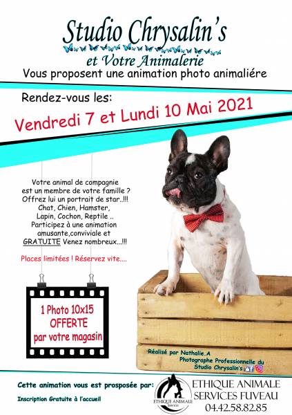 shooting photo pour animaux pro aix marseille gardanne fuveau mimet ethique animale services