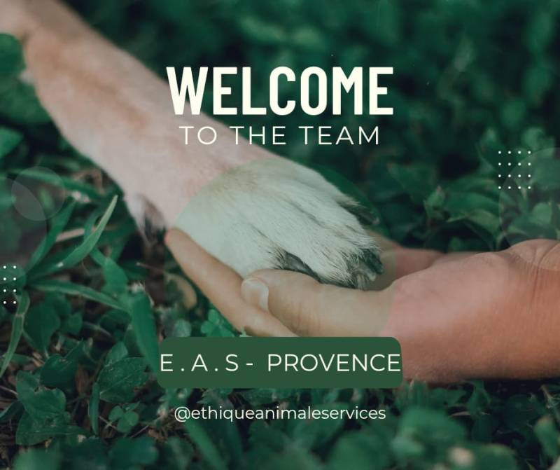 CQP AGENT ANIMALIER services animaliers professionnels en PACA 