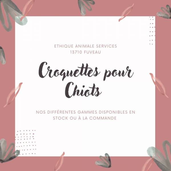 croquettes pour chiots à fuveau