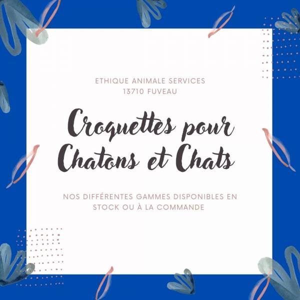 croquettes pour chat a fuveau