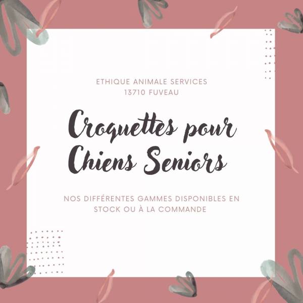 croquettes pour chien senior a fuveau