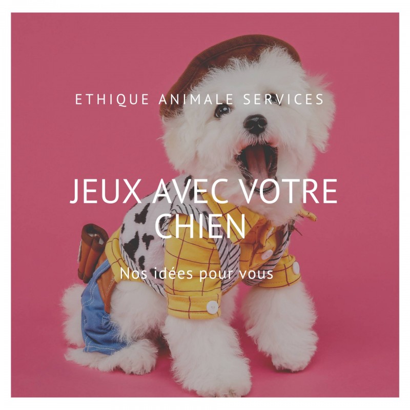 jeux avec son chien confinement éducation plasiri éducation par le jeu stimulation éveil apprentissage jouer avec mon chien