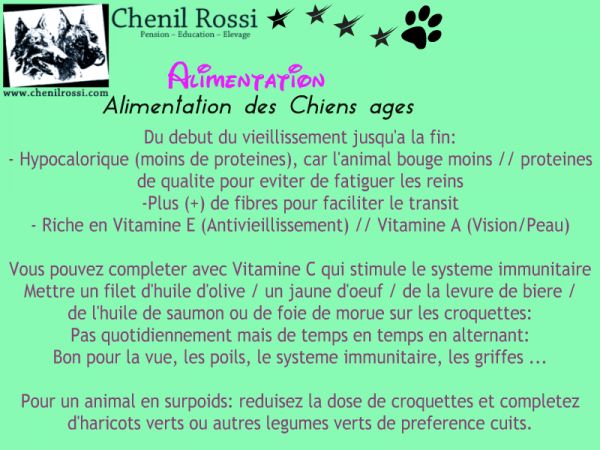 fiche chenil rossi de fuveau santé chien âgé