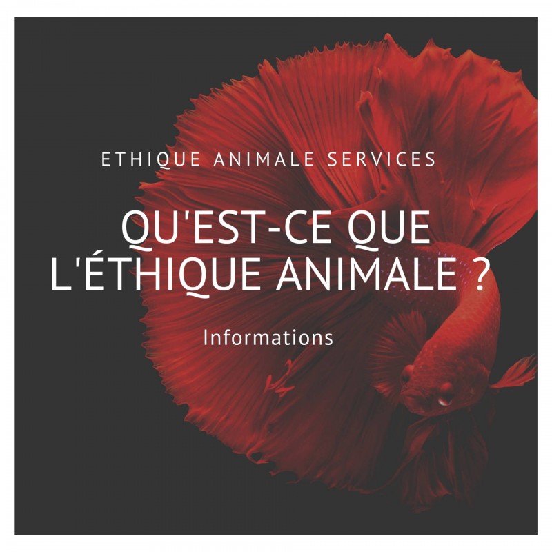 Comment peut-on définir l'éthique animale de nos jours ?