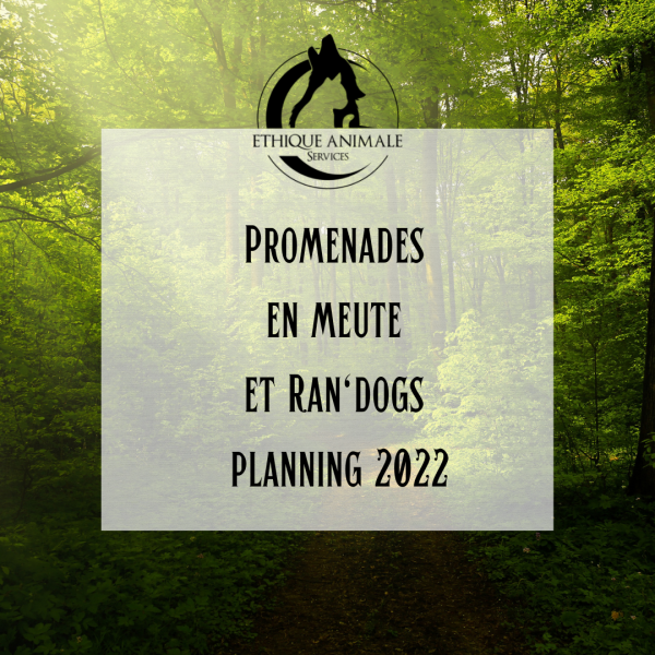 Ateliers Canins pour chiots et chiens adultes sur Fuveau vers Gardanne - PLANNING 2022