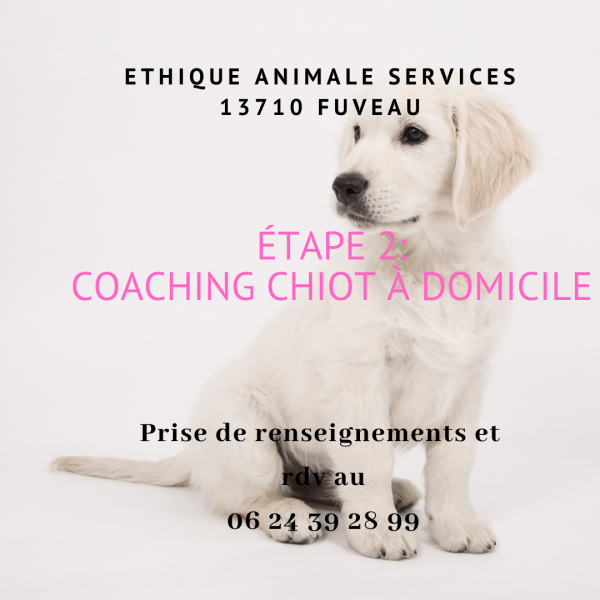 ethique animale services animaux chien chat chiot fuveau garde éducation et adoption