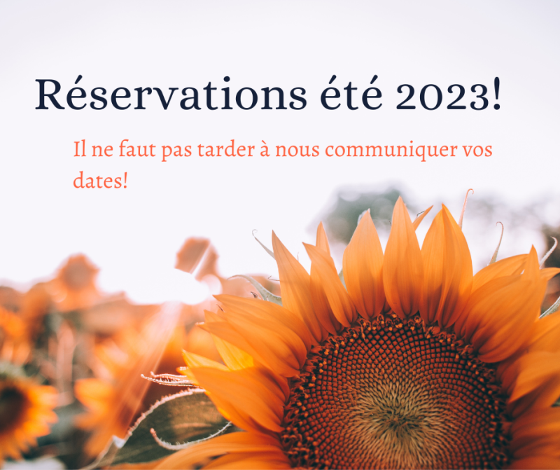 faire garder son chien juillet août vacances d'été vers aix et marseille