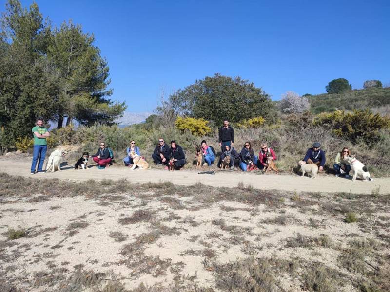randogs ethique animale promenade meute collective balade éducative aix fuveau gardanne
