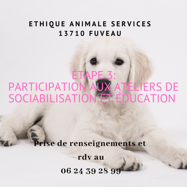 ethique animale services animaux paca fuveau aix marseille éducation canine chiot chien garde de chiot toilettage de chiot provence adoption de chiot acheter un chiot