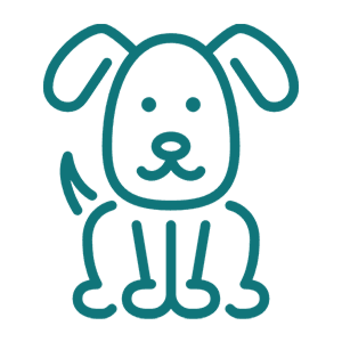 Coaching canin personnalisé