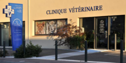 Vétérinaire Trets Clinique de la Burlière