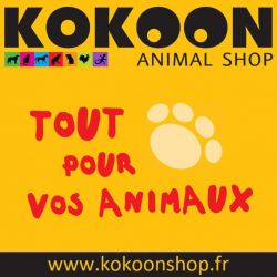 kokoon animalerie gardanne aix marseille pension rossi chiens chats fuveau